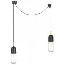 Visual Comfort & Co. Signature Collection RL TOB 5645BZ/HAB-CG-2 - Junio 2-Light Chandelier