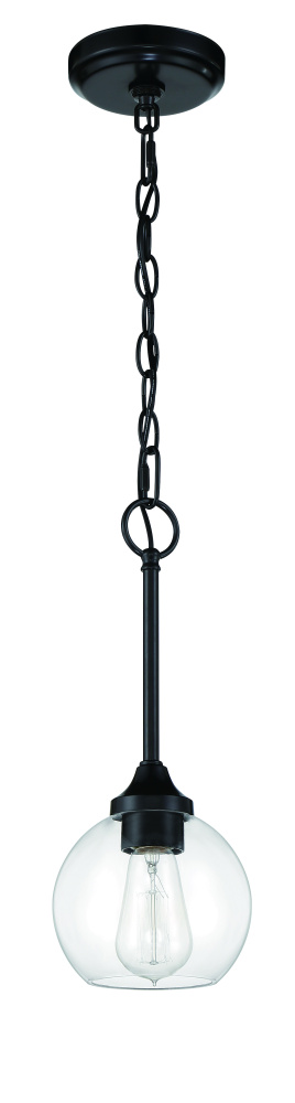 1 Light Mini Pendant