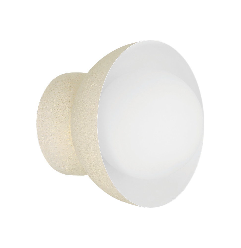 1 Light Wall Sconce