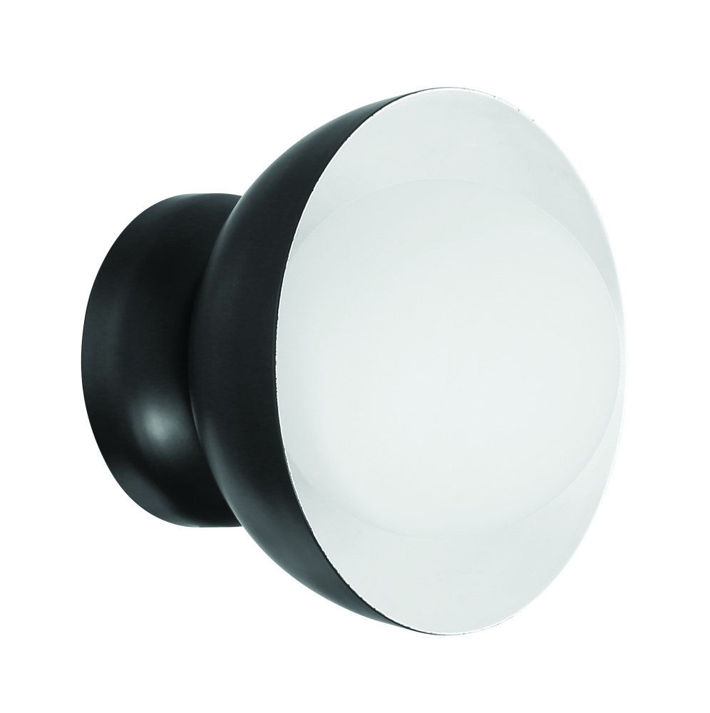 1 Light Wall Sconce