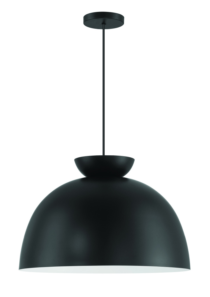 1 Light Pendant