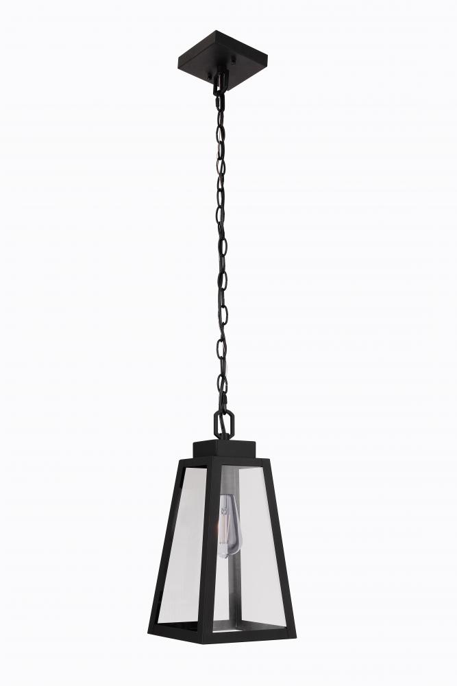 1 Light Pendant