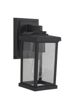 Craftmade ZA2404-TB-C - Small Wall Mount, Clear