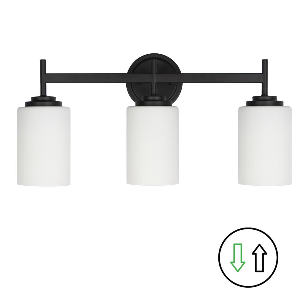 3 Light Vanity in Matte Black