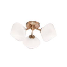 Matteo Lighting X81743AGOP - NOVO Ceiling Mount