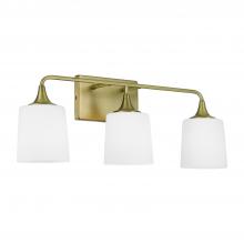 Capital Canada 148931AD-541 - 3 Light Vanity