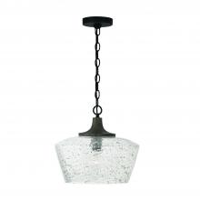 Capital Canada 347611CK - 1 Light Pendant