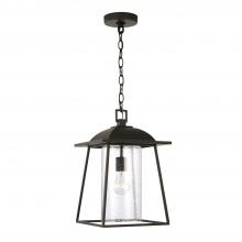 Capital Canada 943614OZ - Durham 1-Light Outdoor Hanging-Lantern