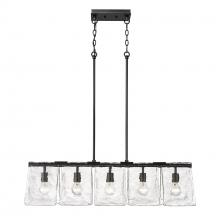 Golden Canada 6072-LP BLK-HWG - Linear Pendant