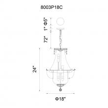 CWI-8003P18C-31.jpg