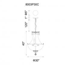 CWI-8003P30C-31.jpg