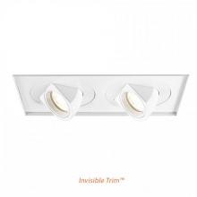 WAC Canada MT-5LD225TL-S40-WT - Tesla LED Multiple Two Light Invisible Trim with Light Engine