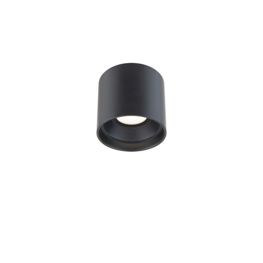 Squat Outdoor Flush Mount Light