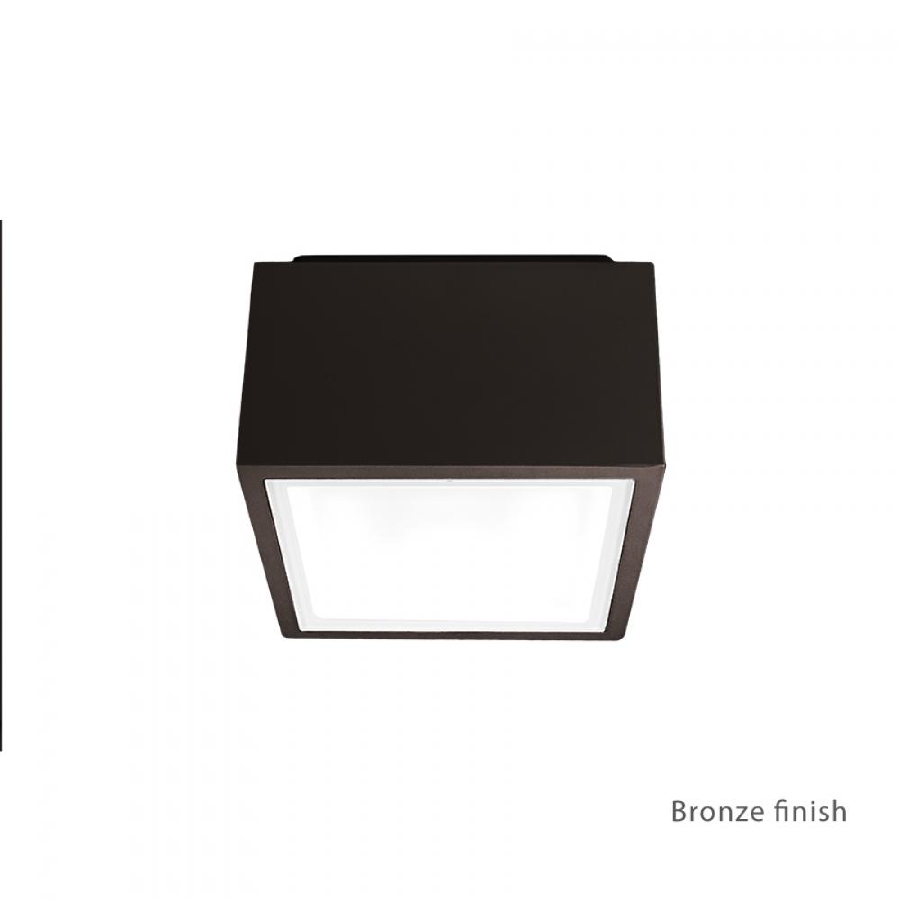 Bloc Outdoor Flush Mount Light