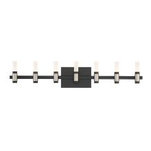 Eurofase 45238-021 - Albany 14 Light Vanity in Black and Nickel