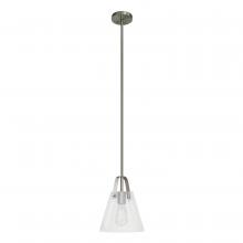 Whitfield PT2203-1SS - 1 Light Pendant