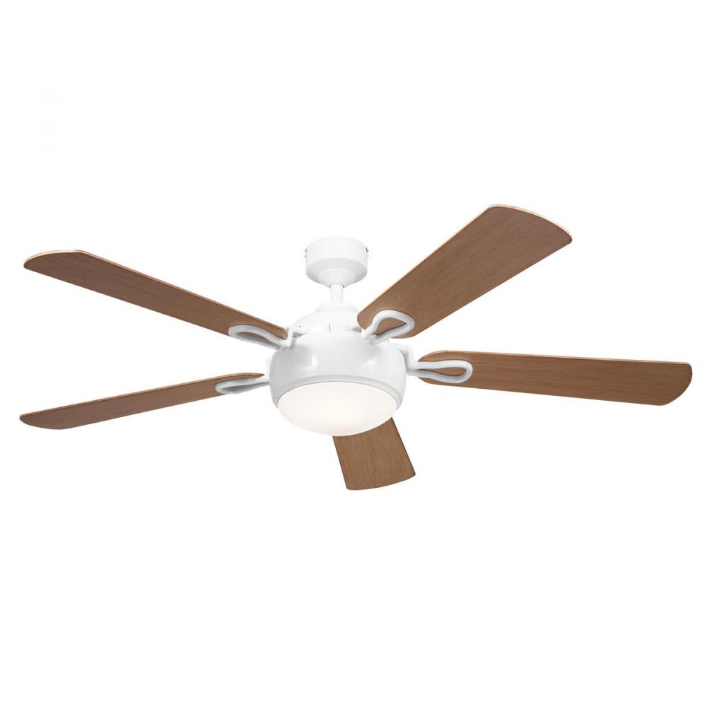 60 Inch Humble Fan