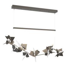 Hubbardton Forge - Canada 139813-LED-STND-07-20-CR - Belladonna LED Pendant