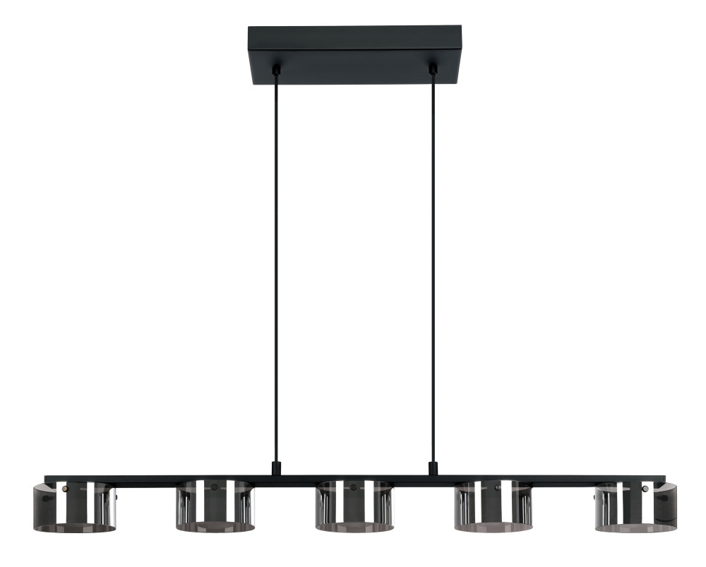 5 LT Integrated LED Linear Pendant w/ Black Finish & Vaporized Black Transparent Glass
