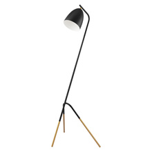 Eglo Canada 204261A - Westlinton 1-Light Floor Lamp