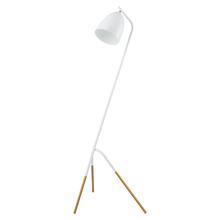 Eglo Canada 49944A - Westlinton 1-Light Floor Lamp