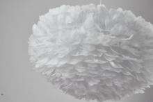 DLS21C17W_5.jpg